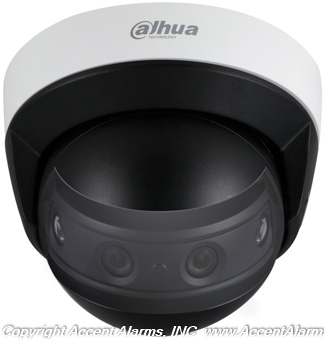 Panoramic & Multi-Sensor Cameras